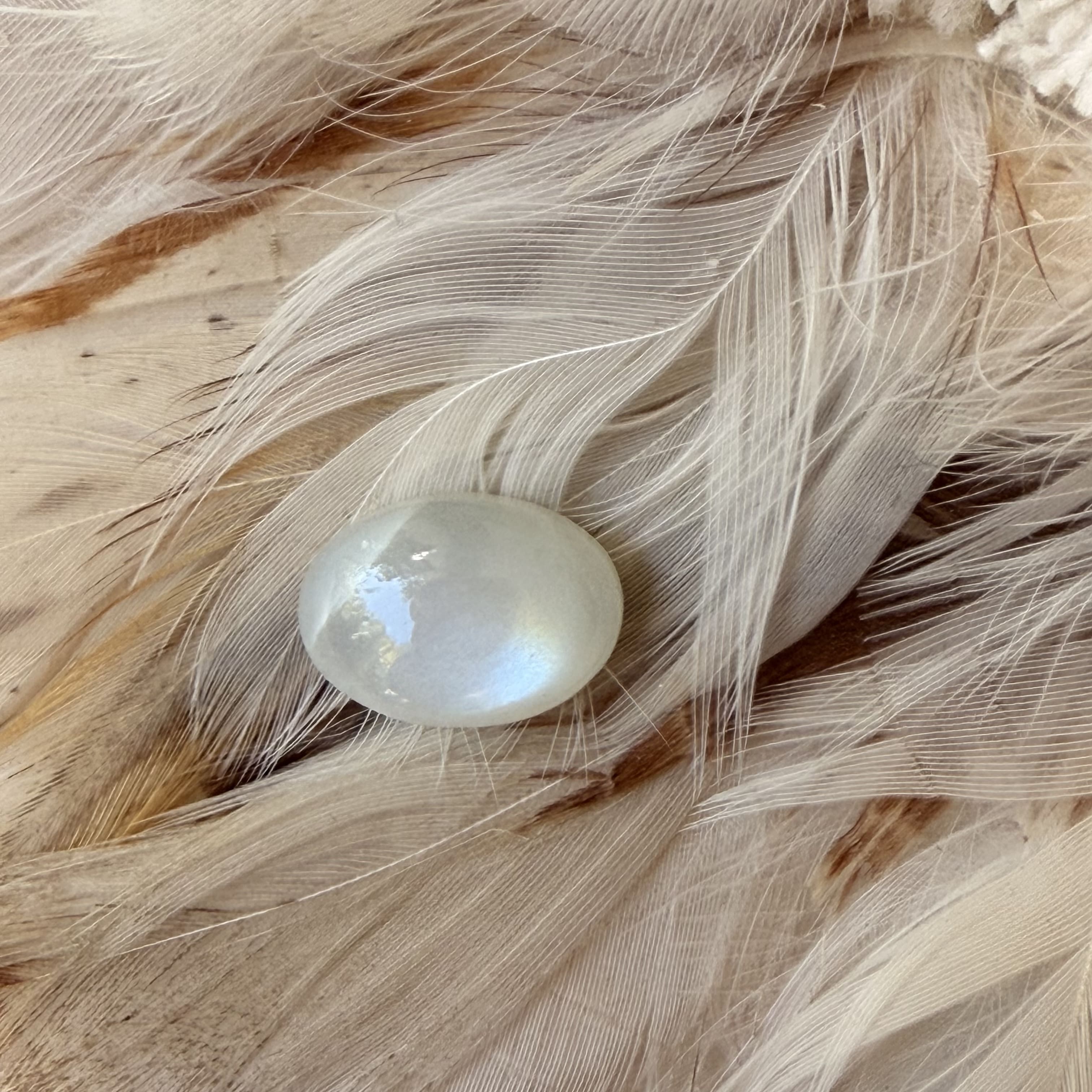 Pierres cabochon 13X8mm - Braderie Parfaites